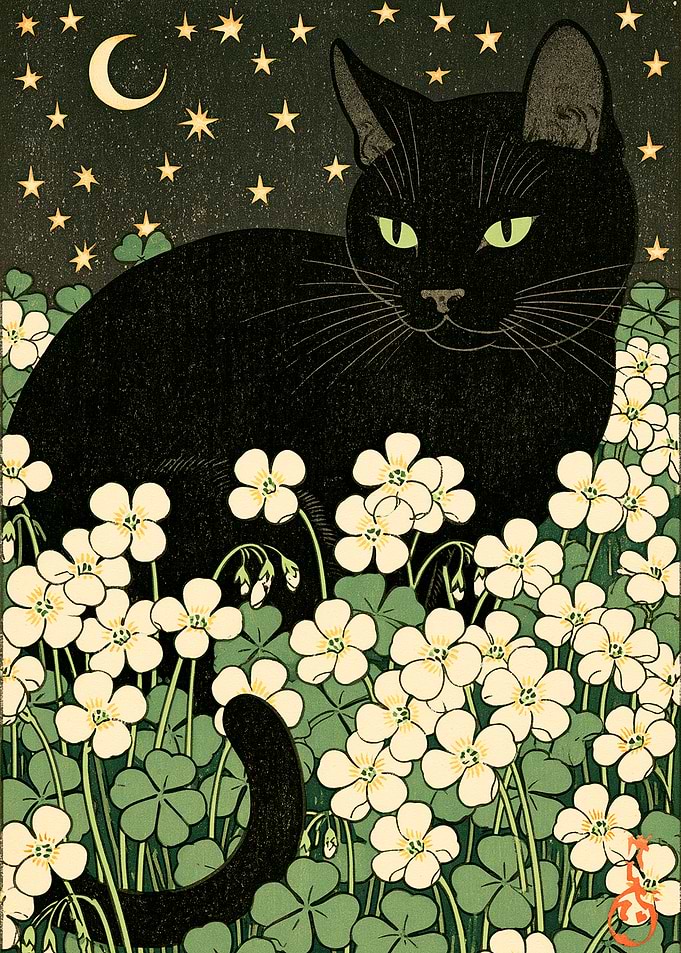 Black Cat in Clover Field