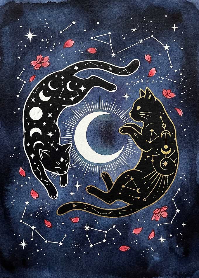 Celestial Yin Yang Cats Illustration