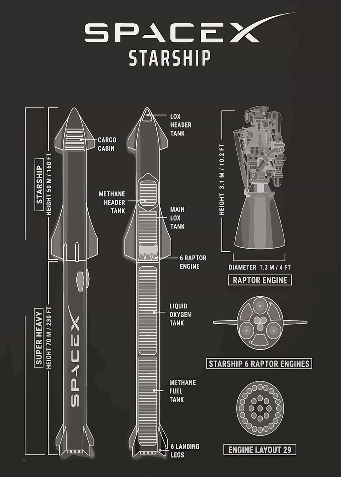 SpaceX Starship Technical Blueprint Poster