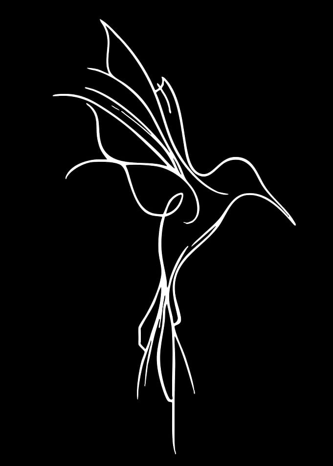 Minimalist Hummingbird Line Art