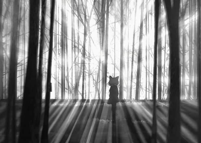 Anime Girl Silhouette in Forest