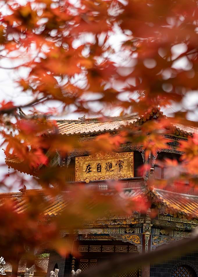 Traditional Chinese Temple Through Autumn Leaves