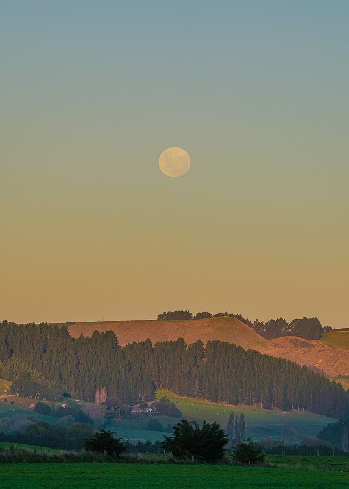 Full Moon over New Zealand Rolling Hills