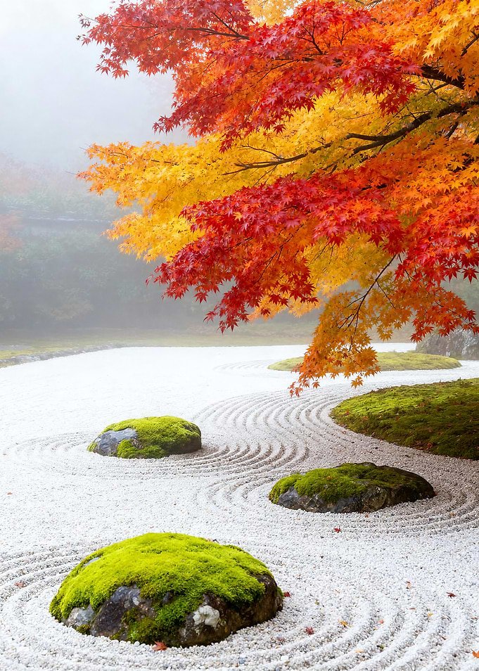 Zen Garden with Autumn Maple Tree