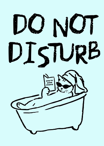 Do Not Disturb Cat in Bathtub