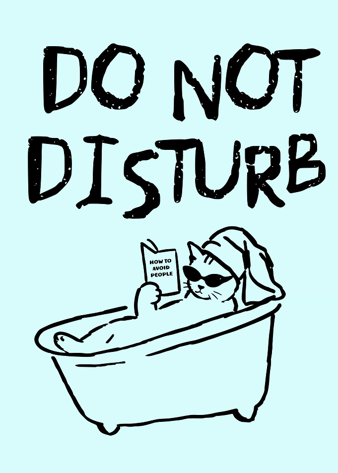 Do Not Disturb Cat in Bathtub
