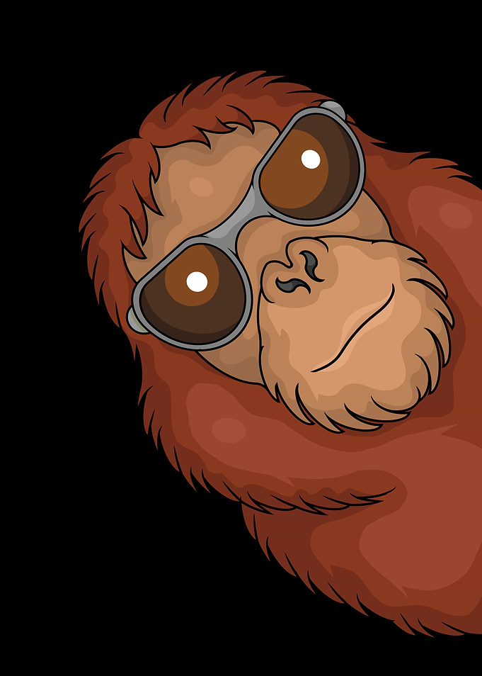Cool Orangutan Wearing Sunglasses