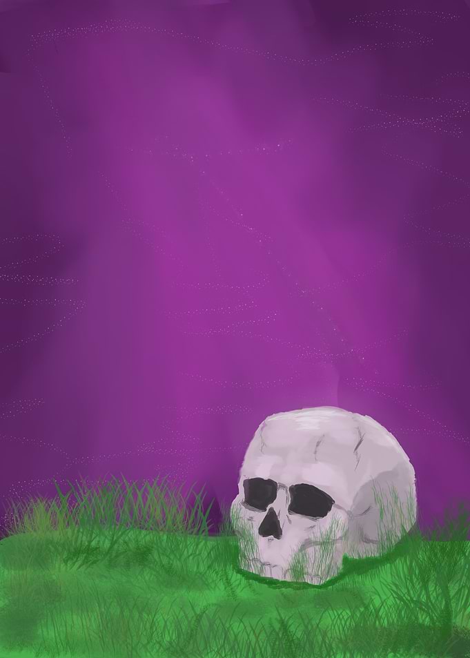 Skull Resting in Green Grass