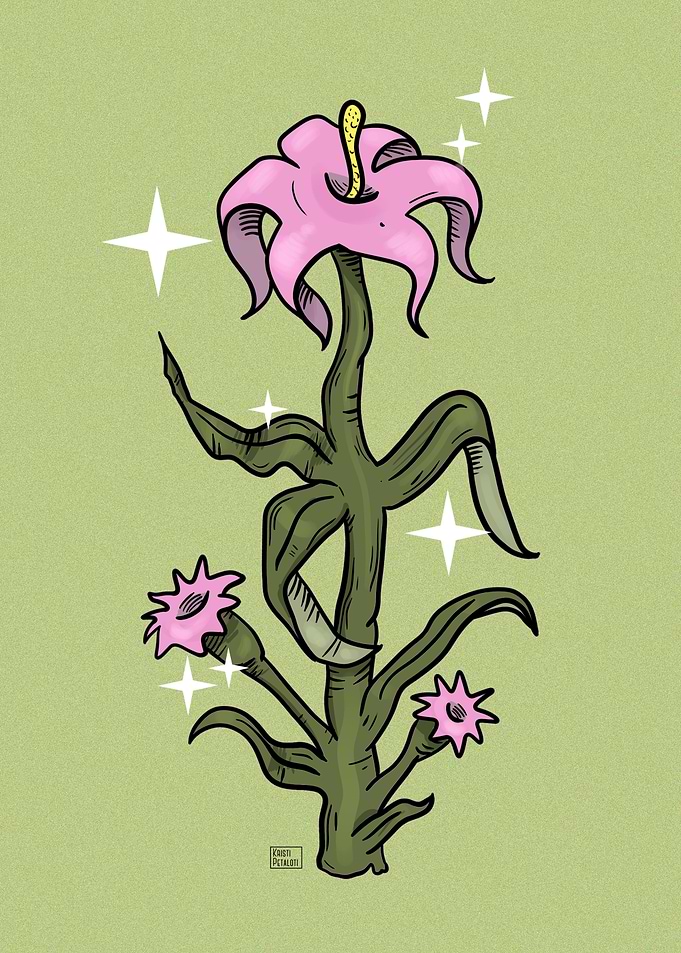 Stylized Pink Lily Illustration