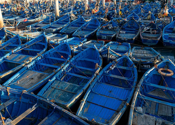 Many Blue Fishing Boats in Harbor