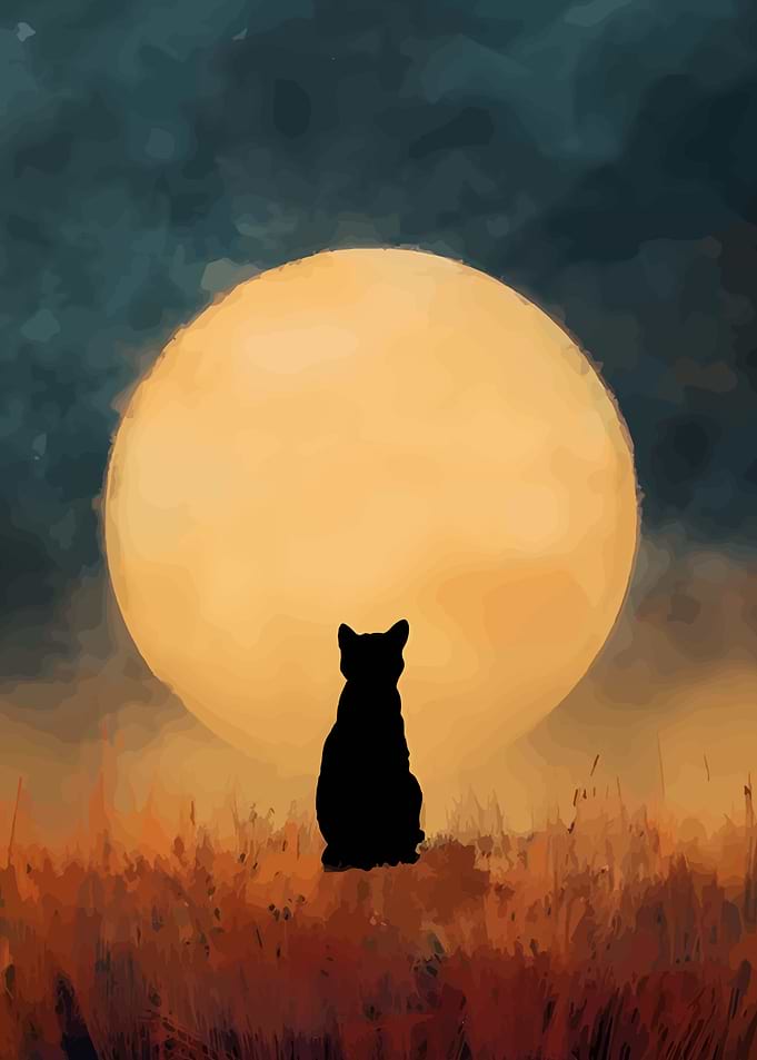 Cat Silhouette Under Full Moon
