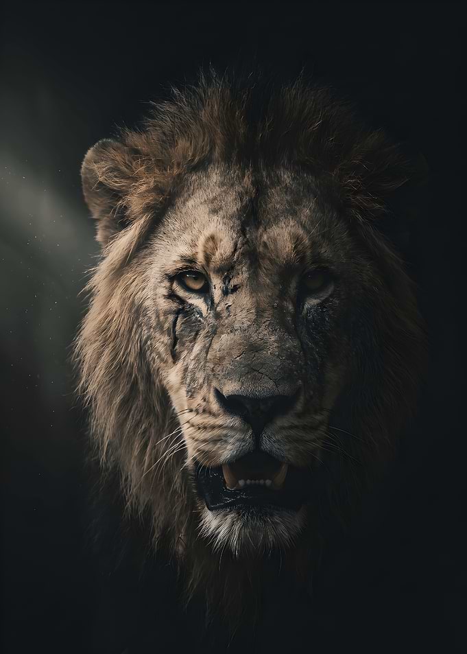 Majestic Scarred Lion Portrait
