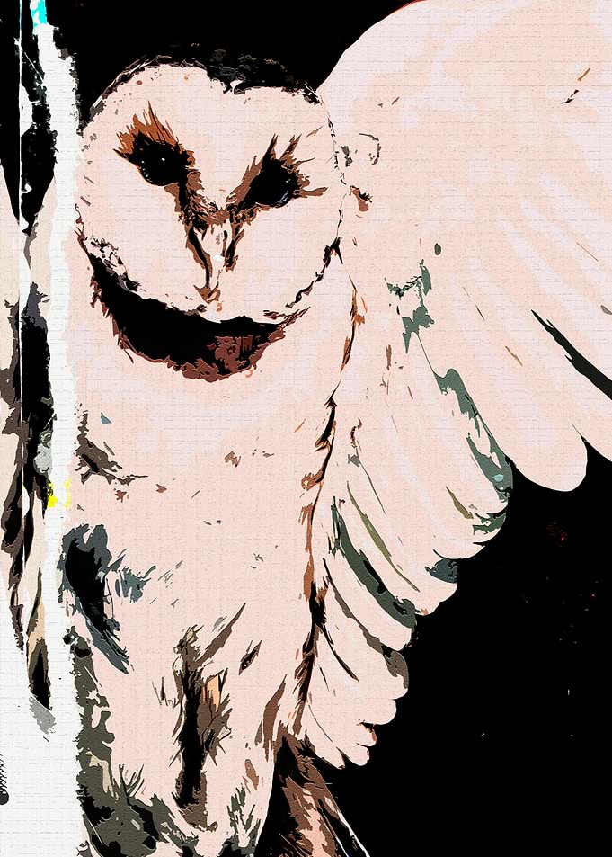 Stylized Barn Owl in Flight