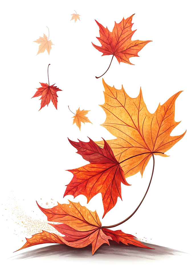 Falling Autumn Maple Leaves