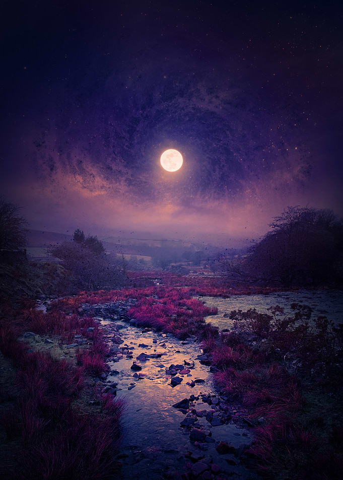 Into the Night