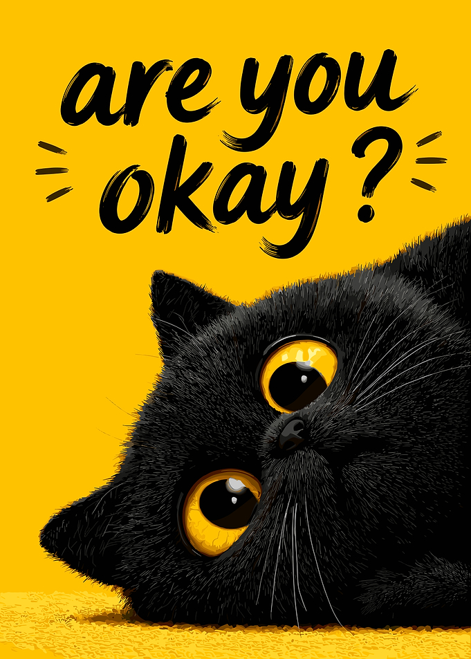 Are You Okay Black Cat Poster
