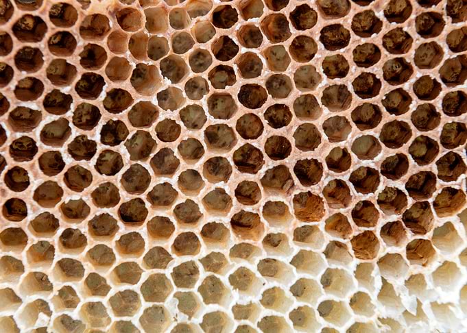 Close-up of Honeycomb Structure