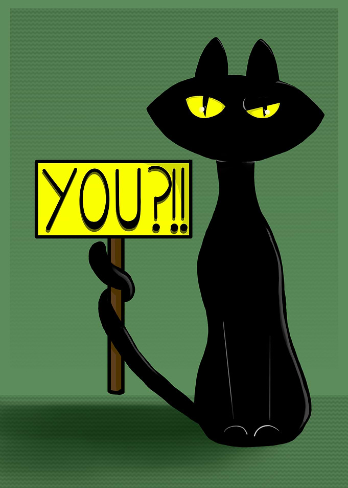 Black Cat Bad Boogie