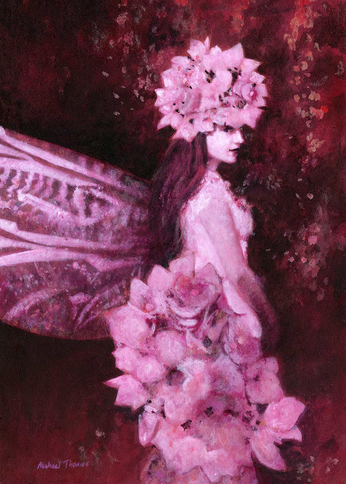 Hydrangea