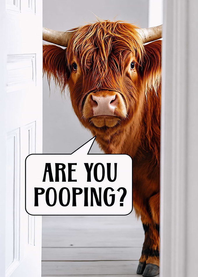Funny Highland ARE YOU POOPING