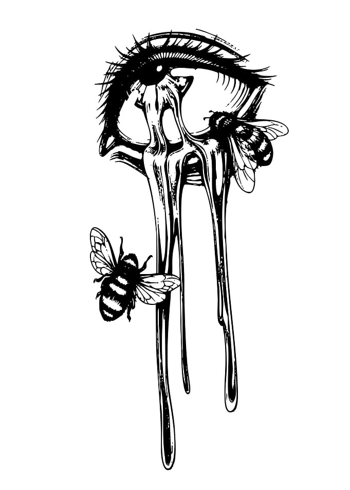 Melting Eye with Honey Bees Illustration