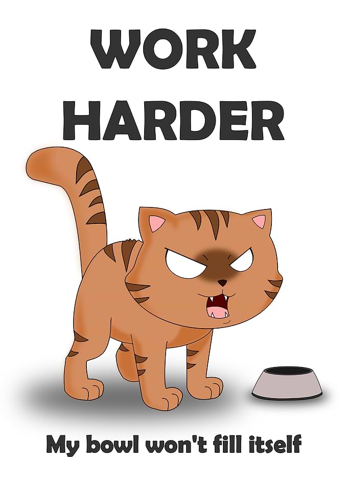 Funny Work Harder Cat