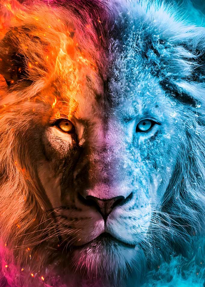 Fire and Ice Lion Portrait