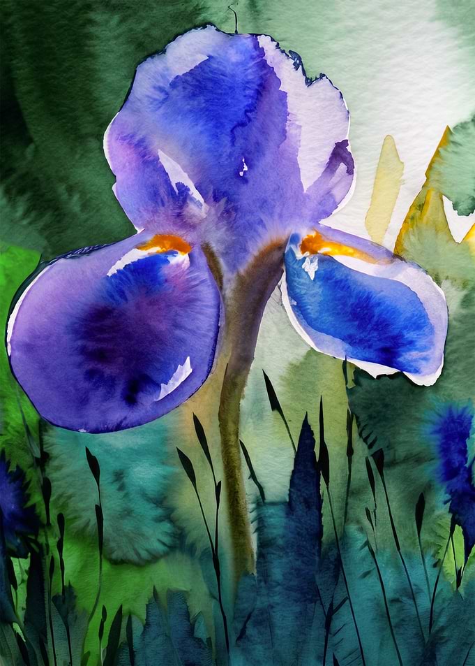 Blue Iris in Flux Watercolor