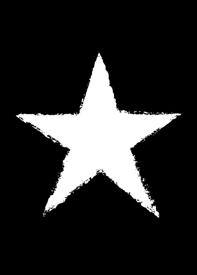 Distressed White Star Icon