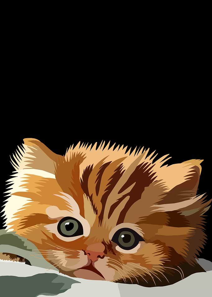 Cute Orange Tabby Kitten Illustration