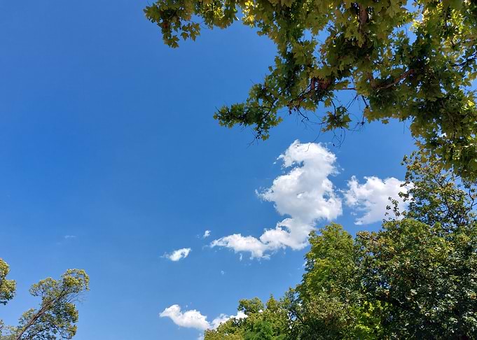 Bright Blue Sky with Green Trees
