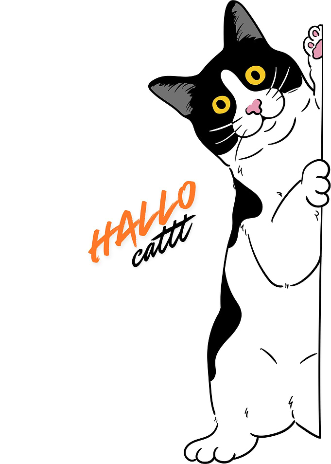 Cute Peeking Black and White Cat