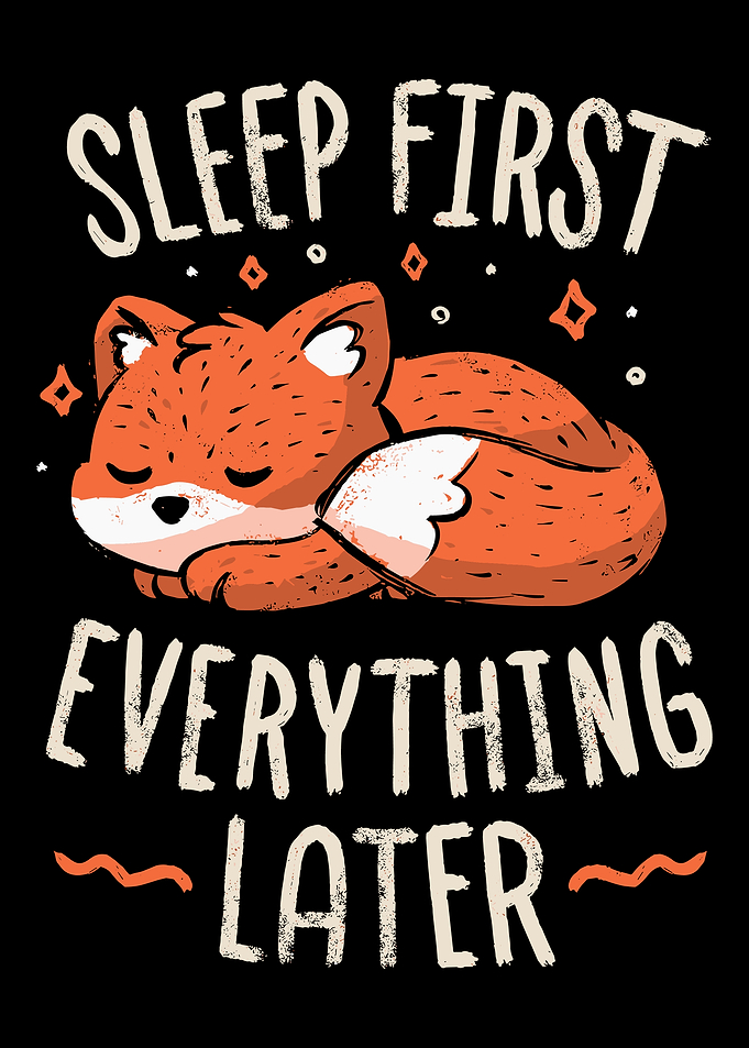 Sleep First Everything Later Cute Sleeping Fox Vintage Wall Art Poster