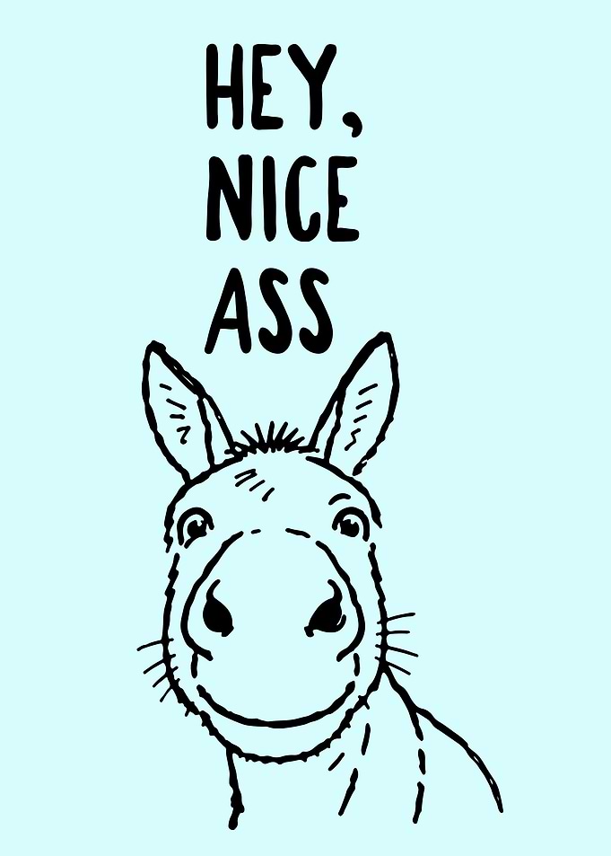 Funny Donkey Illustration