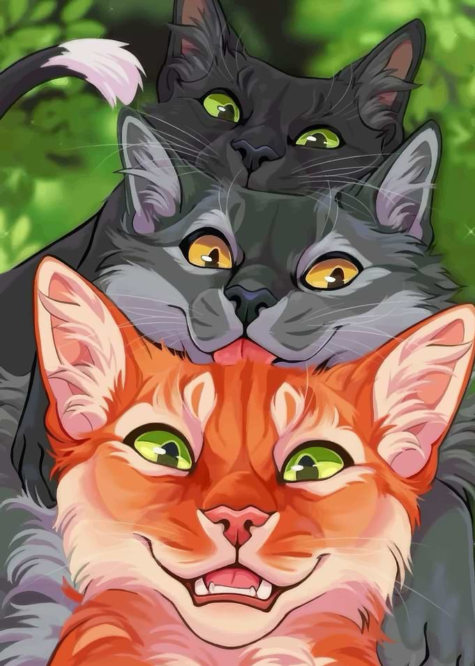 Three Cats Stacked Together