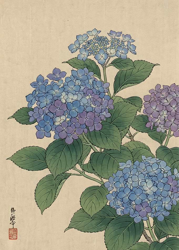 Traditional Japanese Hydrangea Woodblock Print