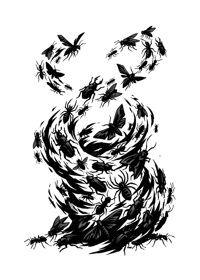 Swarm of Insects Illustration