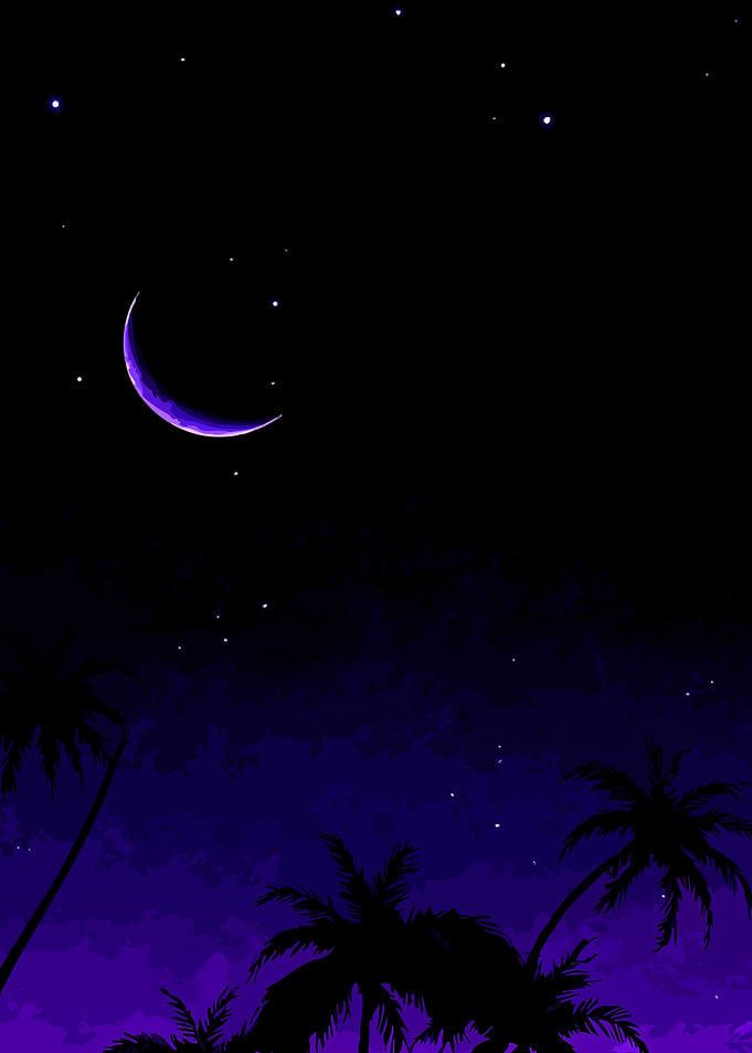 Purple Night Sky with Palm Trees