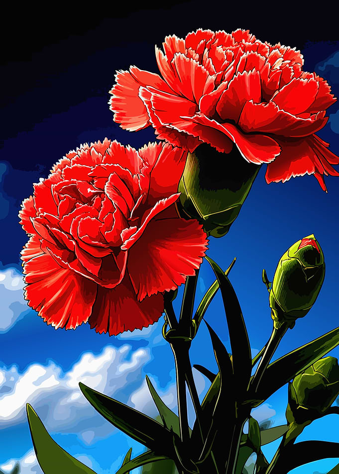 Vibrant Red Carnations Against Blue Sky
