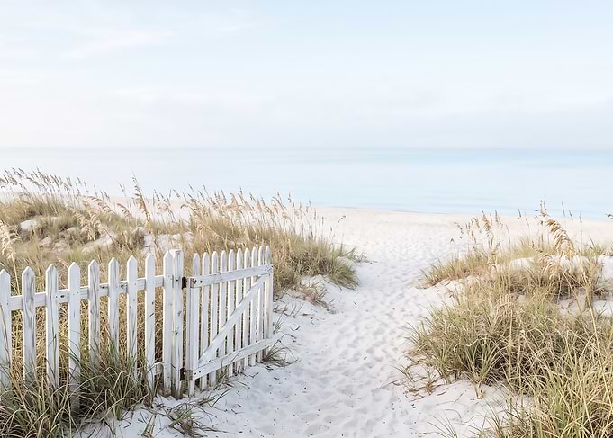 White Picket Fence Beach Path
