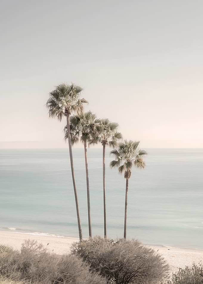 Tropical serenity