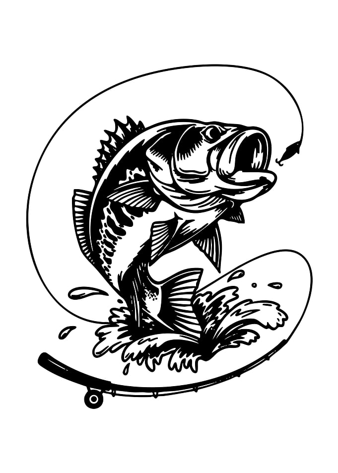 Bass Fish Jumping on Skateboard