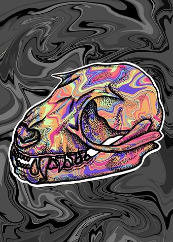 Latest drop