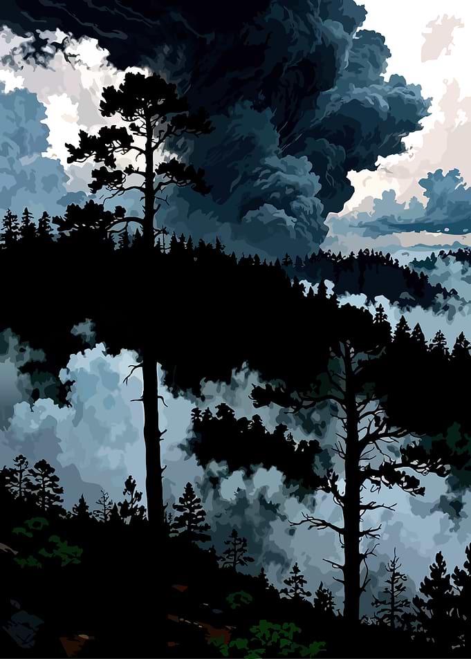 Stormy Forest Silhouette Landscape