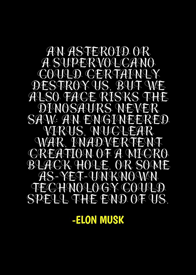 Elon Musk Existential Risk Quote