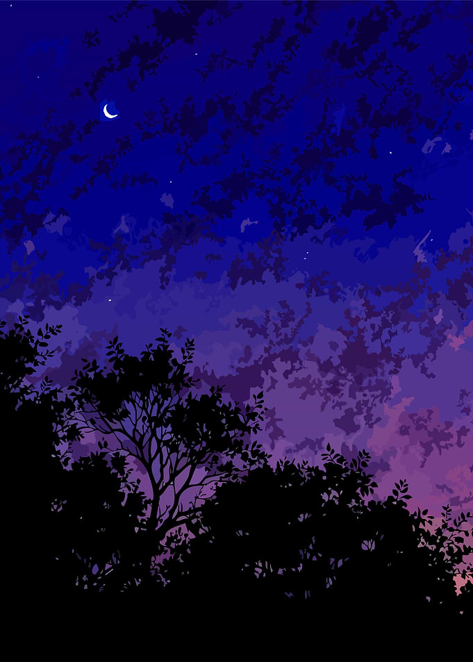 Night Sky with Silhouetted Trees