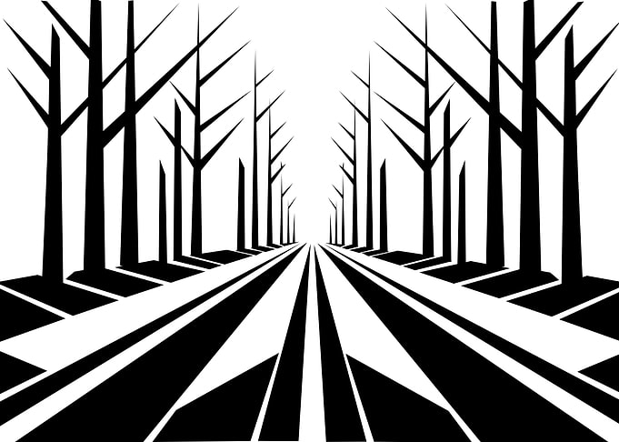 Into the Silent Forest - Minimalist Black and White Forest Road