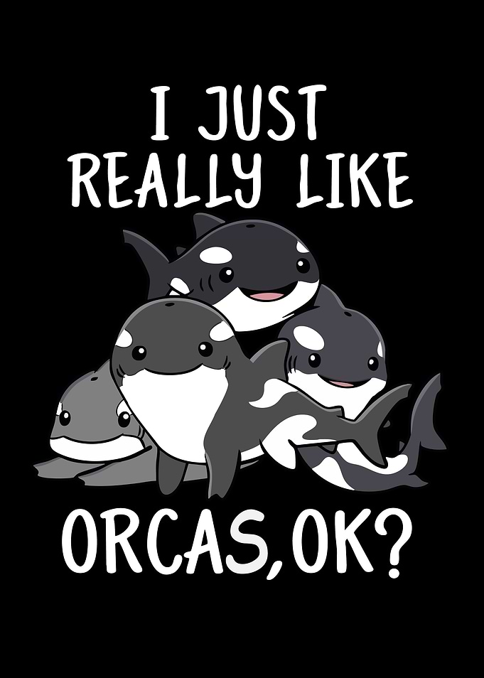 Cute Orca Whale Illustration
