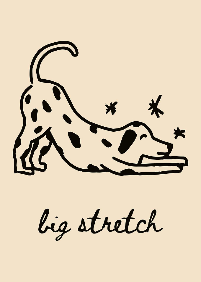 Big Stretch Dalmatian Line Art Poster | Minimalist Dog Wall Art