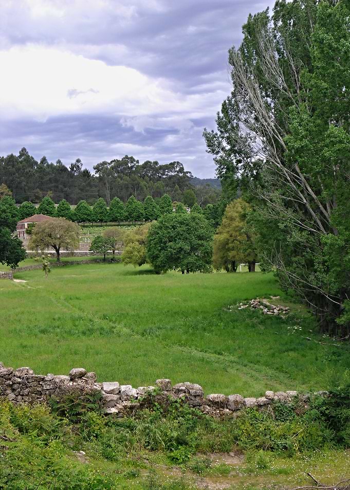 Lush Green Meadow with Stone Wall